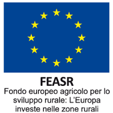 feasr